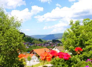 Blick von Terrasse über Klosterreichenbach in den Schwarzwald.