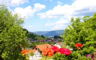 Blick von Terrasse über Klosterreichenbach in den Schwarzwald.